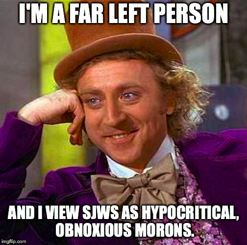 Creepy Condescending Wonka Meme | I'M A FAR LEFT PERSON AND I VIEW SJWS AS HYPOCRITICAL, OBNOXIOUS MORONS. | image tagged in memes,creepy condescending wonka | made w/ Imgflip meme maker