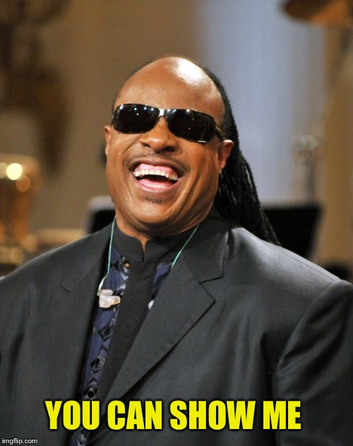 Stevie Wonder | YOU CAN SHOW ME | image tagged in stevie wonder | made w/ Imgflip meme maker