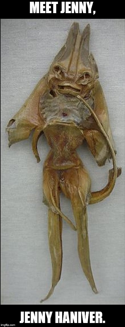 Jenny | MEET JENNY, JENNY HANIVER. | image tagged in jenny haniver | made w/ Imgflip meme maker