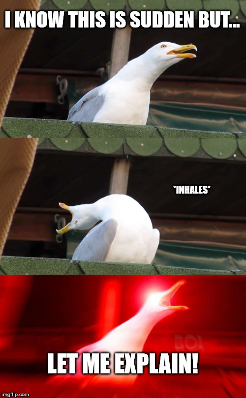 Inhaling seagull | I KNOW THIS IS SUDDEN BUT... *INHALES*; LET ME EXPLAIN! | image tagged in inhaling seagull | made w/ Imgflip meme maker