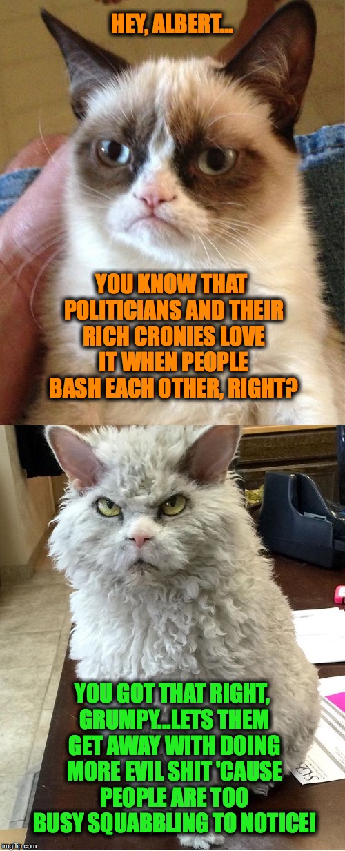 Grumpy and Albert Know the Real Shit | HEY, ALBERT... YOU KNOW THAT POLITICIANS AND THEIR RICH CRONIES LOVE IT WHEN PEOPLE BASH EACH OTHER, RIGHT? YOU GOT THAT RIGHT, GRUMPY...LETS THEM GET AWAY WITH DOING MORE EVIL SHIT 'CAUSE PEOPLE ARE TOO BUSY SQUABBLING TO NOTICE! | image tagged in stupid people | made w/ Imgflip meme maker