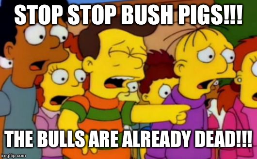 Stop stop he's already dead | STOP STOP BUSH PIGS!!! THE BULLS ARE ALREADY DEAD!!! | image tagged in stop stop he's already dead | made w/ Imgflip meme maker
