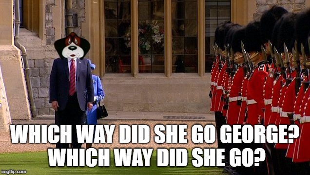 Which Way Did sHe Go George | WHICH WAY DID SHE GO GEORGE? WHICH WAY DID SHE GO? | image tagged in george,donald trump,queen elizabeth,dumb blonde | made w/ Imgflip meme maker