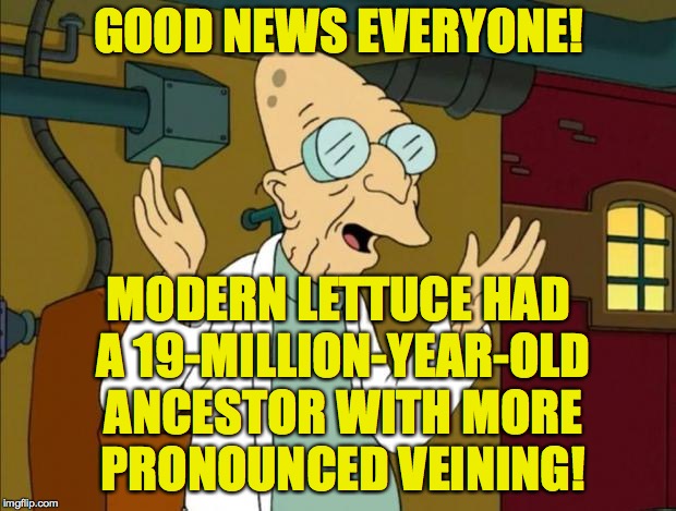 SCIENCE!!! |  GOOD NEWS EVERYONE! MODERN LETTUCE HAD A 19-MILLION-YEAR-OLD ANCESTOR WITH MORE PRONOUNCED VEINING! | image tagged in professor farnsworth good news everyone,memes,science,crickets | made w/ Imgflip meme maker