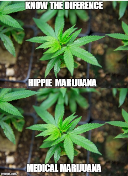 Know the diff | KNOW THE DIFERENCE; HIPPIE  MARIJUANA; MEDICAL MARIJUANA | image tagged in weed | made w/ Imgflip meme maker