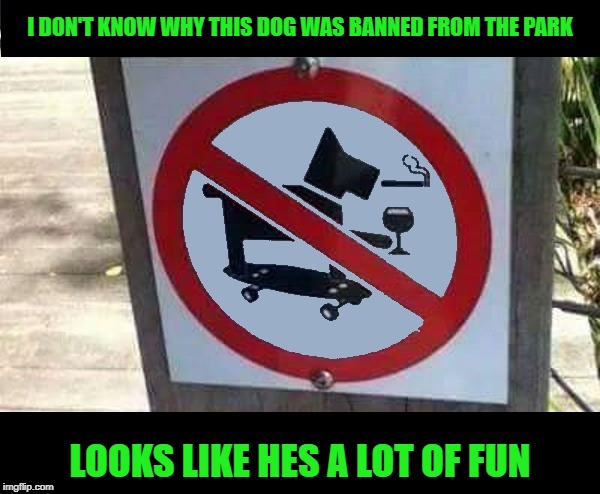 lot of fun | I DON'T KNOW WHY THIS DOG WAS BANNED FROM THE PARK; LOOKS LIKE HES A LOT OF FUN | image tagged in dog,park,banned | made w/ Imgflip meme maker