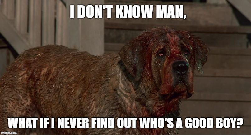 Cujo | I DON'T KNOW MAN, WHAT IF I NEVER FIND OUT WHO'S A GOOD BOY? | image tagged in cujo | made w/ Imgflip meme maker