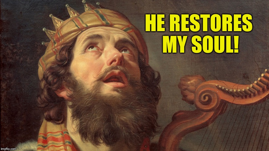 King David Psalms | HE RESTORES MY SOUL! | image tagged in king david psalms | made w/ Imgflip meme maker