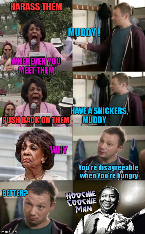 Muddy Maxine Waters | MUDDY WATERS | image tagged in memes,snickers,blues,meme,harassment,red hen | made w/ Imgflip meme maker