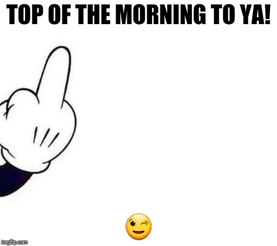 TOP OF THE MORNING TO YA! 😉 | image tagged in middle cartoon finger | made w/ Imgflip meme maker