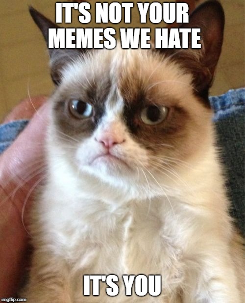 Grumpy Cat Meme | IT'S NOT YOUR MEMES WE HATE IT'S YOU | image tagged in memes,grumpy cat | made w/ Imgflip meme maker