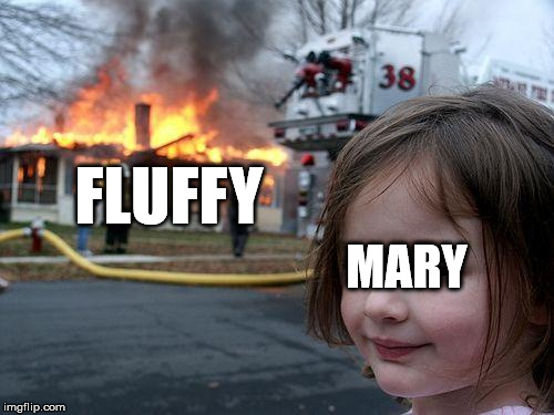 Disaster Girl Meme | FLUFFY; MARY | image tagged in memes,disaster girl | made w/ Imgflip meme maker