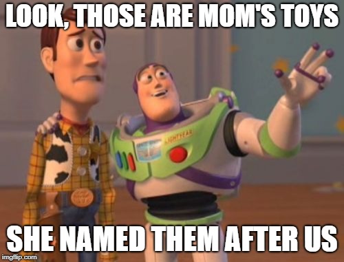 Take that as you will | LOOK, THOSE ARE MOM'S TOYS; SHE NAMED THEM AFTER US | image tagged in memes,x x everywhere | made w/ Imgflip meme maker