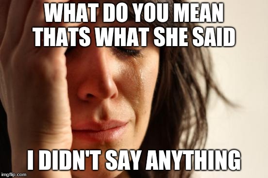First World Problems Meme | WHAT DO YOU MEAN THATS WHAT SHE SAID I DIDN'T SAY ANYTHING | image tagged in memes,first world problems | made w/ Imgflip meme maker