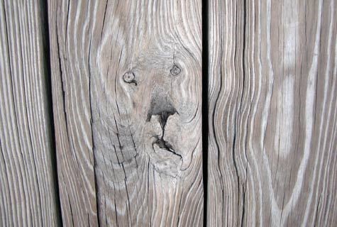 Face In Wood Grain Blank Meme Template