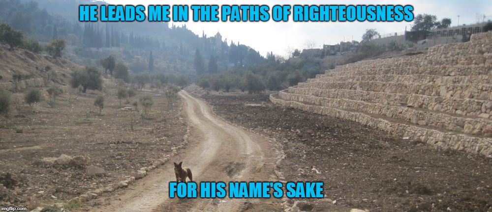 HE LEADS ME IN THE PATHS OF RIGHTEOUSNESS FOR HIS NAME'S SAKE | made w/ Imgflip meme maker