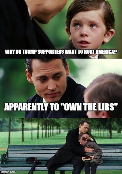 Helping is not an option apparently | WHY DO TRUMP SUPPORTERS WANT TO HURT AMERICA? APPARENTLY TO "OWN THE LIBS" | image tagged in memes,finding neverland,political meme,trump supporters,america | made w/ Imgflip meme maker