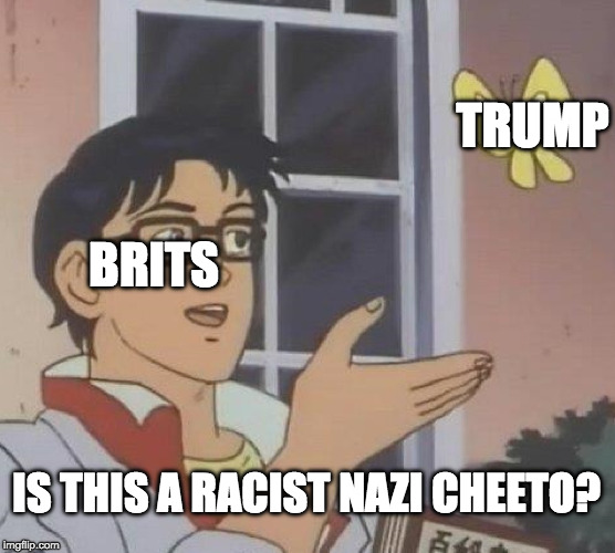 Is This A Pigeon | TRUMP; BRITS; IS THIS A RACIST NAZI CHEETO? | image tagged in memes,is this a pigeon | made w/ Imgflip meme maker