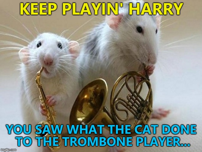 Tough audience... :) | KEEP PLAYIN' HARRY; YOU SAW WHAT THE CAT DONE TO THE TROMBONE PLAYER... | image tagged in musical animals,memes,music,animals,mice | made w/ Imgflip meme maker