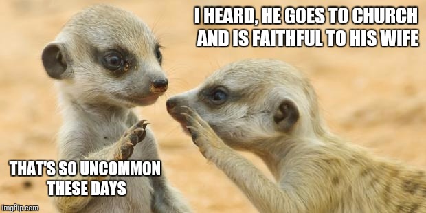 gossip meerkats | I HEARD, HE GOES TO CHURCH AND IS FAITHFUL TO HIS WIFE THAT'S SO UNCOMMON THESE DAYS | image tagged in gossip meerkats | made w/ Imgflip meme maker
