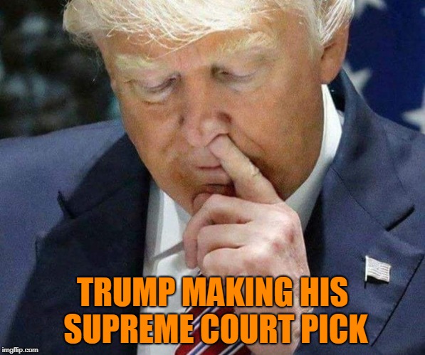 TRUMP MAKING HIS SUPREME COURT PICK | image tagged in donald trump,trump,supreme court,drumpf | made w/ Imgflip meme maker