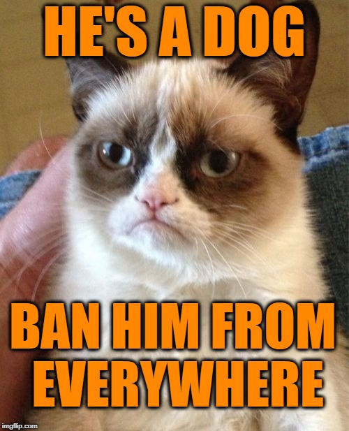 Grumpy Cat Meme | HE'S A DOG BAN HIM FROM EVERYWHERE | image tagged in memes,grumpy cat | made w/ Imgflip meme maker