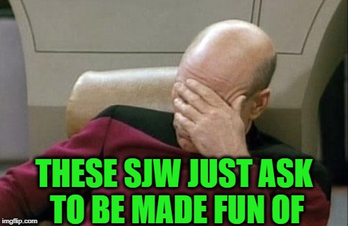 Captain Picard Facepalm Meme | THESE SJW JUST ASK TO BE MADE FUN OF | image tagged in memes,captain picard facepalm | made w/ Imgflip meme maker
