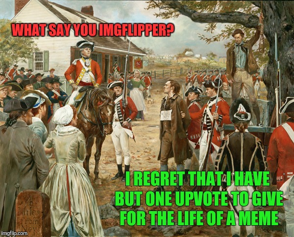 I'd give more if I could  | WHAT SAY YOU IMGFLIPPER? I REGRET THAT I HAVE BUT ONE UPVOTE TO GIVE FOR THE LIFE OF A MEME | image tagged in memes,imgflip,upvotes,nathan hale,imgflip points,upvote | made w/ Imgflip meme maker