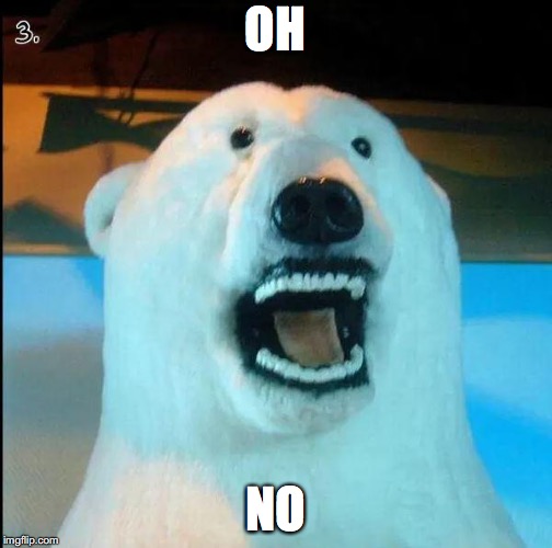 Horrified Polar Bear | OH NO | image tagged in horrified polar bear | made w/ Imgflip meme maker