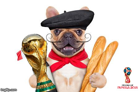 France World Cup 2018  | image tagged in france copa mundial fifa 2018,croatia,france,world cup,russia,dog | made w/ Imgflip meme maker