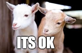 ITS OK | image tagged in kids | made w/ Imgflip meme maker