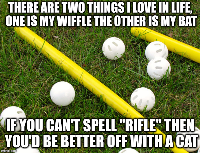 THERE ARE TWO THINGS I LOVE IN LIFE, ONE IS MY WIFFLE THE OTHER IS MY BAT IF YOU CAN'T SPELL "RIFLE" THEN YOU'D BE BETTER OFF WITH A CAT | made w/ Imgflip meme maker