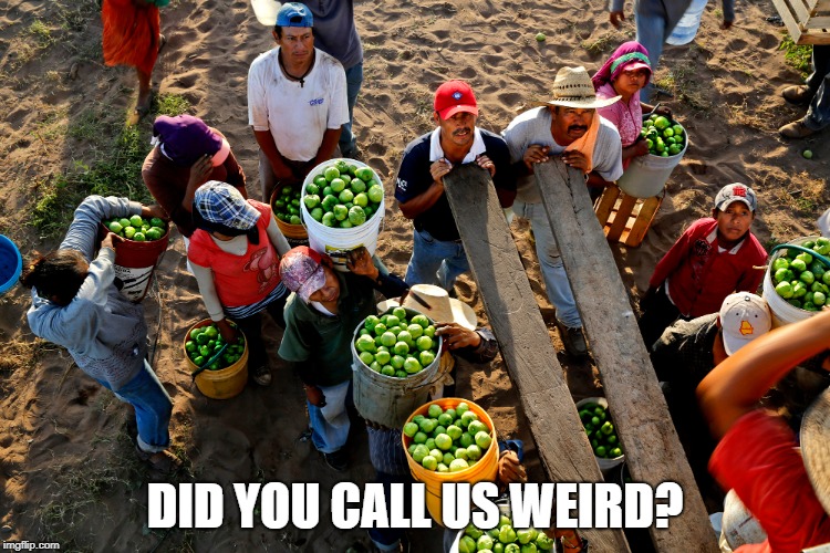 DID YOU CALL US WEIRD? | made w/ Imgflip meme maker