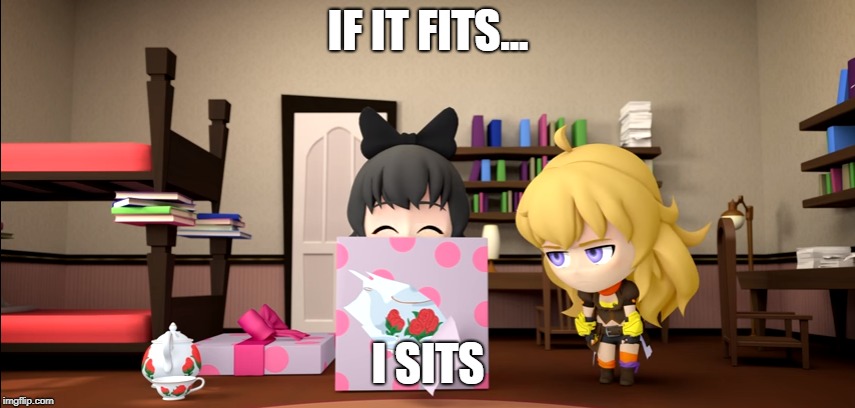 RWBY Blake: "If it fits... I sits!" | IF IT FITS... I SITS | image tagged in rwby,rwby chibi,funny cats,boxes,funny memes,funny | made w/ Imgflip meme maker