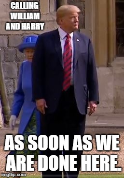 WAIT 'TIL THE GRANDKINDS FIND OUT. | CALLING WILLIAM AND HARRY; AS SOON AS WE ARE DONE HERE. | image tagged in oaf,troglodyte,treasonsummit | made w/ Imgflip meme maker