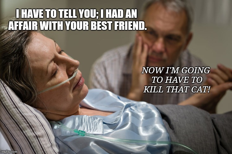 Death bed confession | I HAVE TO TELL YOU; I HAD AN AFFAIR WITH YOUR BEST FRIEND. NOW I'M GOING TO HAVE TO KILL THAT CAT! | image tagged in death bed confession | made w/ Imgflip meme maker