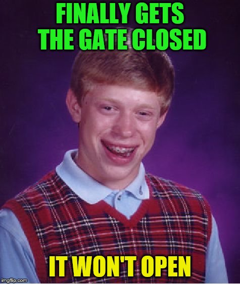 Bad Luck Brian Meme | FINALLY GETS THE GATE CLOSED IT WON'T OPEN | image tagged in memes,bad luck brian | made w/ Imgflip meme maker