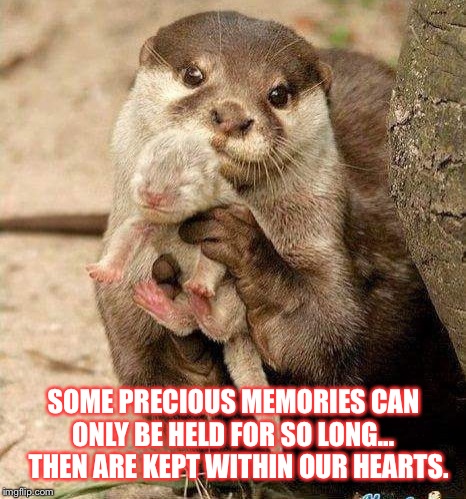 SOME PRECIOUS MEMORIES CAN ONLY BE HELD FOR SO LONG...
  THEN ARE KEPT WITHIN OUR HEARTS. | made w/ Imgflip meme maker