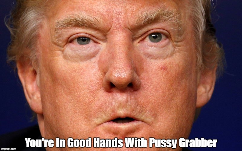 You're In Good Hands With Pussy Grabber | made w/ Imgflip meme maker