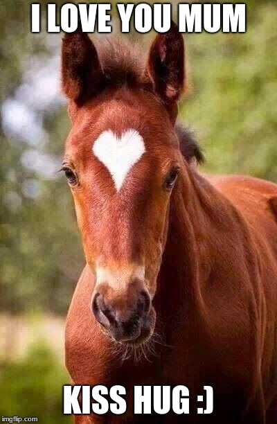 I LOVE YOU MUM; KISS HUG :) | image tagged in valentine horse | made w/ Imgflip meme maker