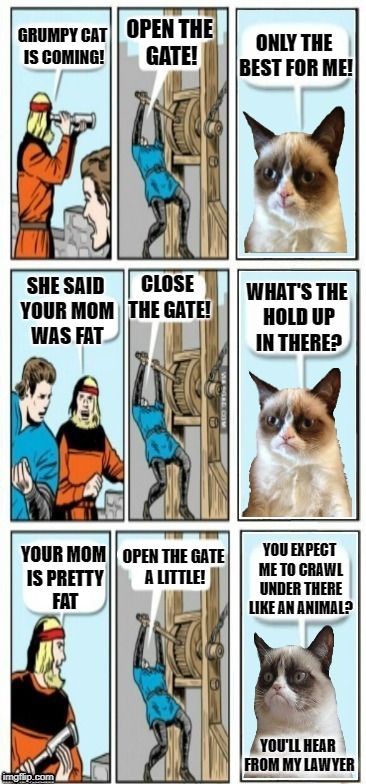 Grumpy Cat at the gate | OPEN THE GATE! ONLY THE BEST FOR ME! GRUMPY CAT IS COMING! CLOSE THE GATE! SHE SAID YOUR MOM WAS FAT; WHAT'S THE HOLD UP IN THERE? YOUR MOM IS PRETTY FAT; OPEN THE GATE A LITTLE! YOU EXPECT ME TO CRAWL UNDER THERE LIKE AN ANIMAL? YOU'LL HEAR FROM MY LAWYER | image tagged in funny memes,grumpy cat,caturday,open the gate,cat | made w/ Imgflip meme maker