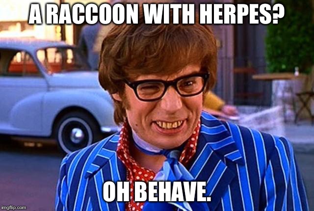 Oh behave  | A RACCOON WITH HERPES? OH BEHAVE. | image tagged in oh behave | made w/ Imgflip meme maker
