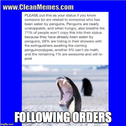 An urgent repost from www.cleanmemes.com! Please spread the word! | FOLLOWING ORDERS | image tagged in penguin,math | made w/ Imgflip meme maker