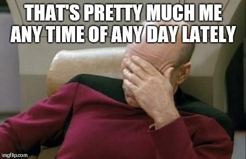 Captain Picard Facepalm Meme | THAT'S PRETTY MUCH ME ANY TIME OF ANY DAY LATELY | image tagged in memes,captain picard facepalm | made w/ Imgflip meme maker