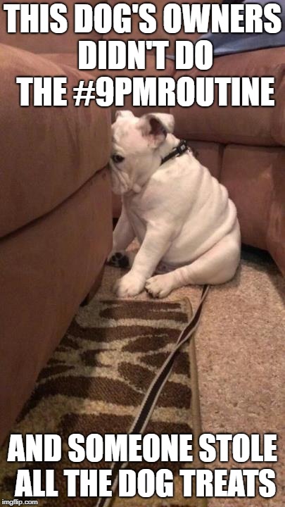 sad dog | THIS DOG'S OWNERS DIDN'T DO THE #9PMROUTINE; AND SOMEONE STOLE ALL THE DOG TREATS | image tagged in sad dog | made w/ Imgflip meme maker