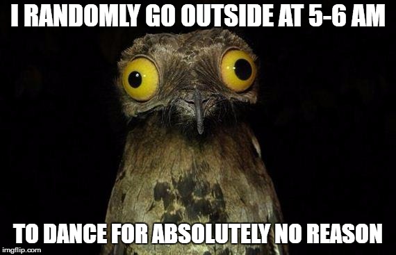 Weird Stuff I Do Potoo | I RANDOMLY GO OUTSIDE AT 5-6 AM; TO DANCE FOR ABSOLUTELY NO REASON | image tagged in memes,weird stuff i do potoo | made w/ Imgflip meme maker