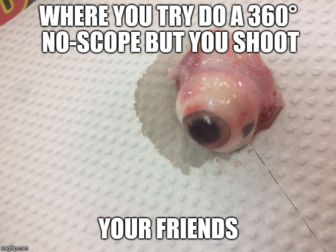 Fortnite eyeball meme | WHERE YOU TRY DO A 360° 
NO-SCOPE BUT YOU SHOOT; YOUR FRIENDS | image tagged in fortnite eyeball meme | made w/ Imgflip meme maker