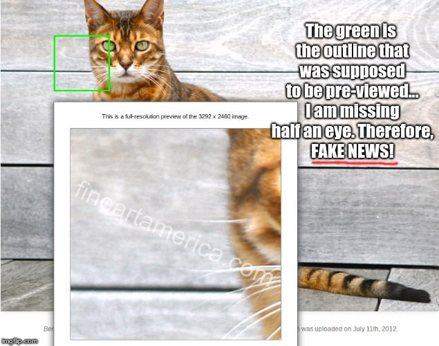 You had one job, Bill. | The green is the outline that was supposed to be pre-viewed... I am missing half an eye. Therefore, FAKE NEWS! | image tagged in memes,funny,cats,you had one job | made w/ Imgflip meme maker