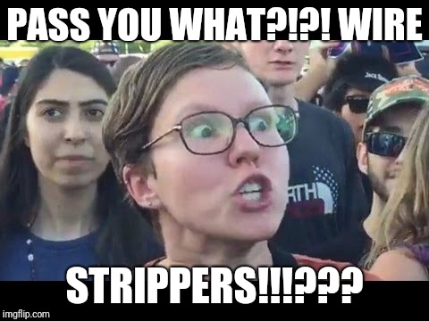 Angry sjw | PASS YOU WHAT?!?! WIRE; STRIPPERS!!!??? | image tagged in angry sjw | made w/ Imgflip meme maker