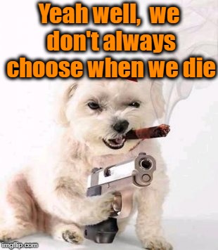 Dog with gun | Yeah well,  we don't always choose when we die | image tagged in dog with gun | made w/ Imgflip meme maker